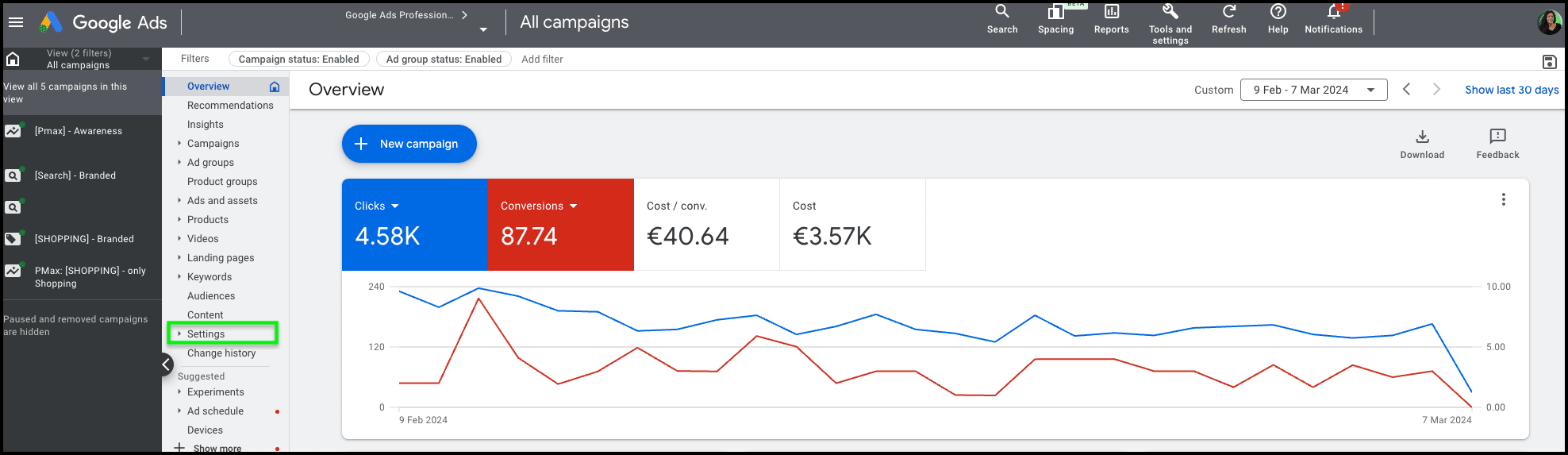 Google Ads Dashboard mit Leistungsübersicht, darstellend Klicks, Konversionen, Kosten und Zeitverlauf der Kampagnenperformance.